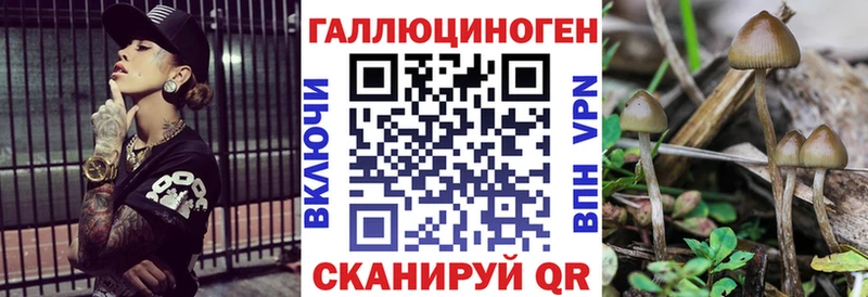 Псилоцибиновые грибы GOLDEN TEACHER  продажа наркотиков  Гагарин 